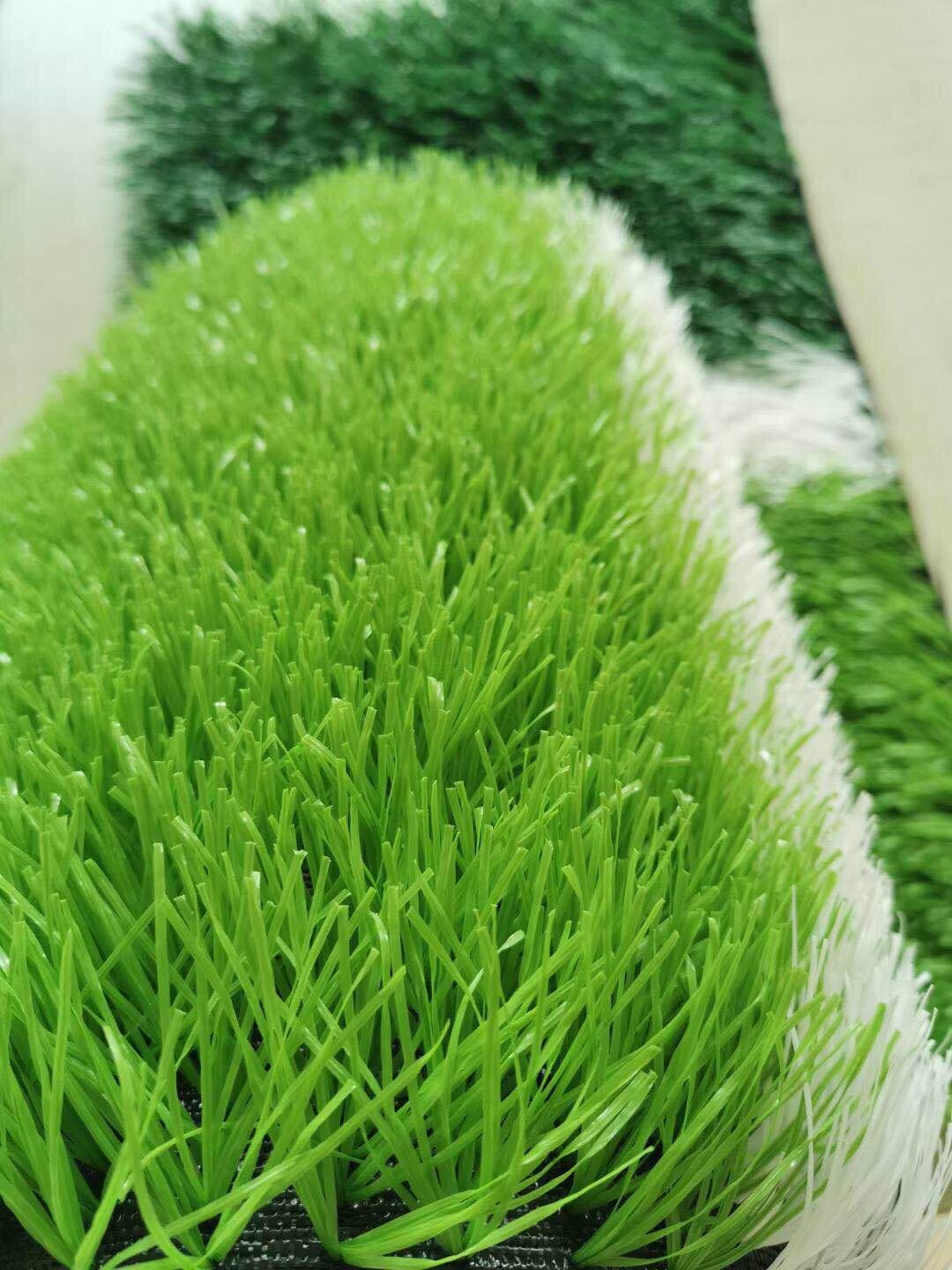 微信图片_20201014170958
